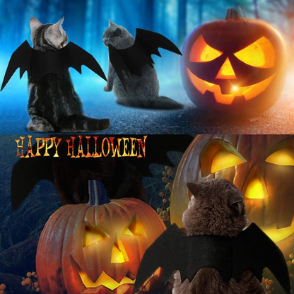 Fun Cat Bat Wings Costume for Cats (14-17in Chest), Adjustable Dog Bat Wings for Puppies, Black Felt Halloween Pet Costume