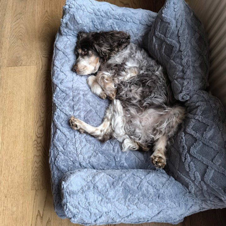 PawRelax™ Plush Bed 🐾 — Soft, Secure & Anxiety-Reducing - PAW Bolt