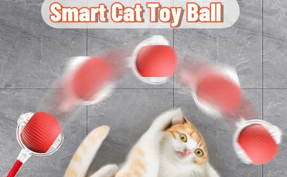 Cat Interactive Ball Toy Automatic Rolling Ball Faux Tail Rechargeable Smart Pet Electric Toy - PAW Bolt
