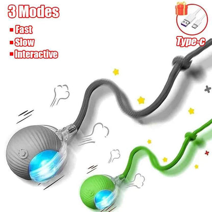 Interactive Automatic Cat Ball Toy – Rechargeable Rolling Mouse Toy for Cats & Dogs