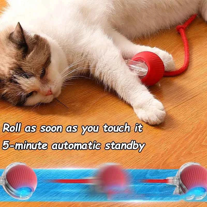 Interactive Automatic Cat Ball Toy – Rechargeable Rolling Mouse Toy for Cats & Dogs