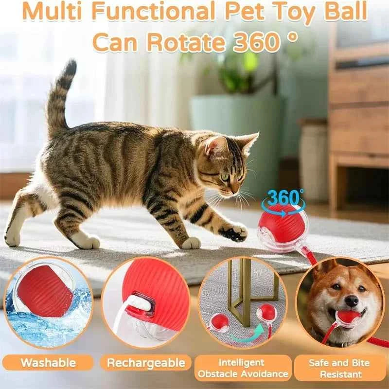 Interactive Automatic Cat Ball Toy – Rechargeable Rolling Mouse Toy for Cats & Dogs