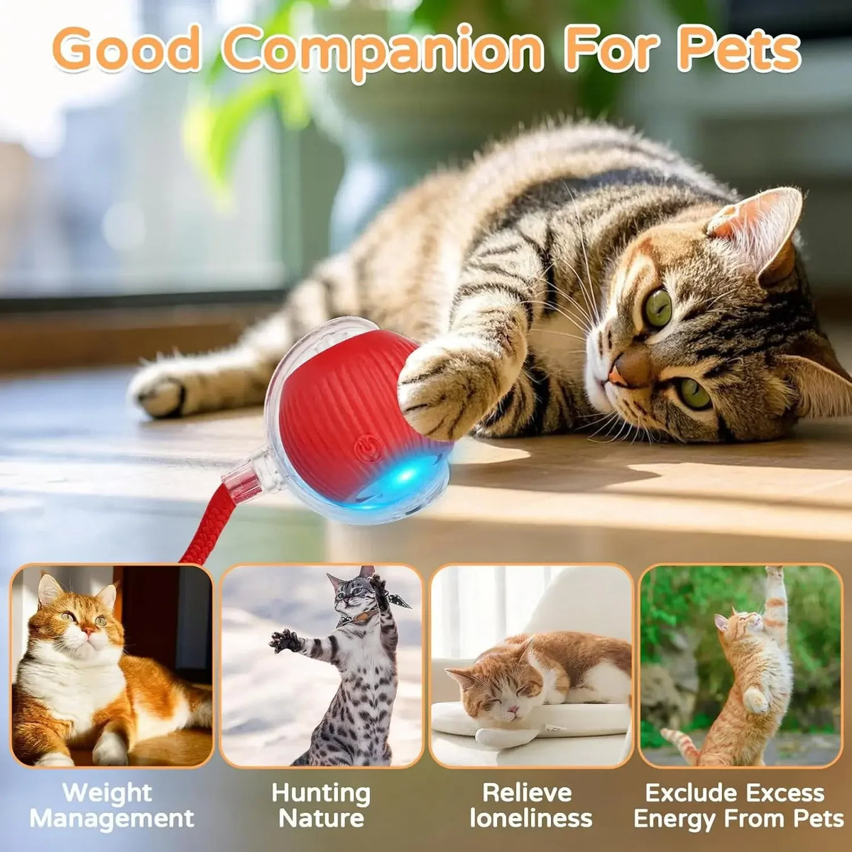 Cat Interactive Ball Toy Automatic Rolling Ball Faux Tail Rechargeable Smart Pet Electric Toy - PAW Bolt