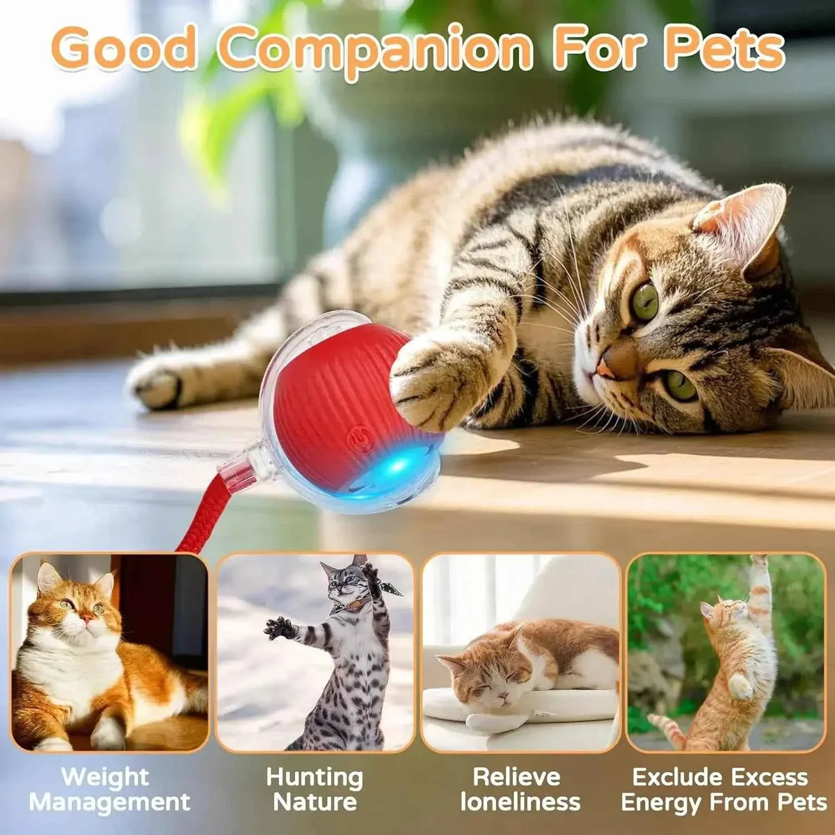 Cat Interactive Ball Toy Automatic Rolling Ball Faux Tail Rechargeable Smart Pet Electric Toy - PAW Bolt