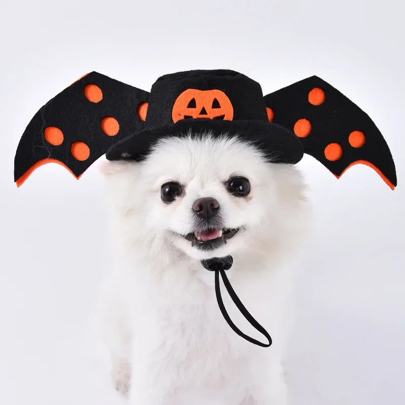 Halloween 3-Piece Dog & Cat Costume Set