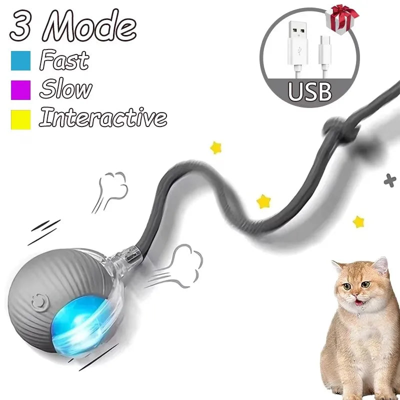 Cat Interactive Ball Toy Automatic Rolling Ball Faux Tail Rechargeable Smart Pet Electric Toy - PAW Bolt