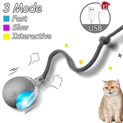 Cat Interactive Ball Toy Automatic Rolling Ball Faux Tail Rechargeable Smart Pet Electric Toy - PAW Bolt