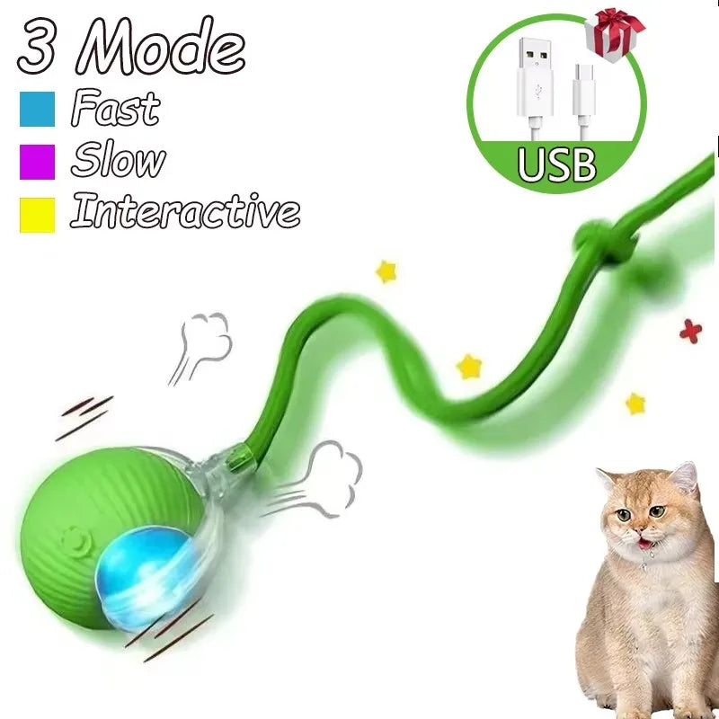 Cat Interactive Ball Toy Automatic Rolling Ball Faux Tail Rechargeable Smart Pet Electric Toy - PAW Bolt