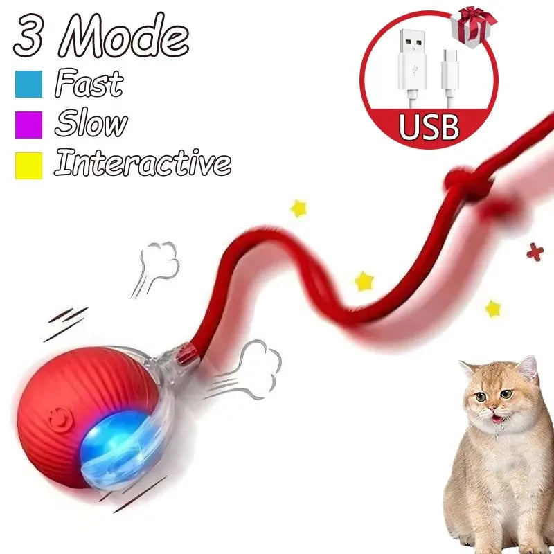 Cat Interactive Ball Toy Automatic Rolling Ball Faux Tail Rechargeable Smart Pet Electric Toy - PAW Bolt