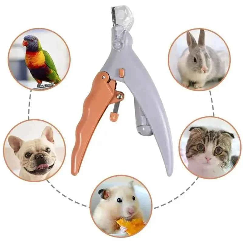 LED Light Pet Nail Clipper With Amplification Function Dog Cat Special Nail Trimmer Tool Pet Grooming Cleaning Supplies - PAW Bolt