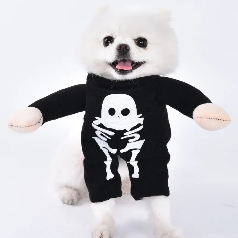 Halloween 3-Piece Dog & Cat Costume Set