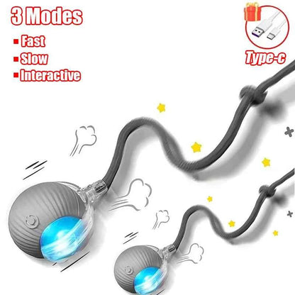 Interactive Automatic Cat Ball Toy – Rechargeable Rolling Mouse Toy for Cats & Dogs