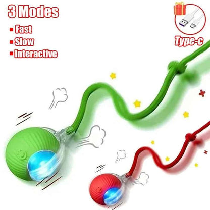 Interactive Automatic Cat Ball Toy – Rechargeable Rolling Mouse Toy for Cats & Dogs