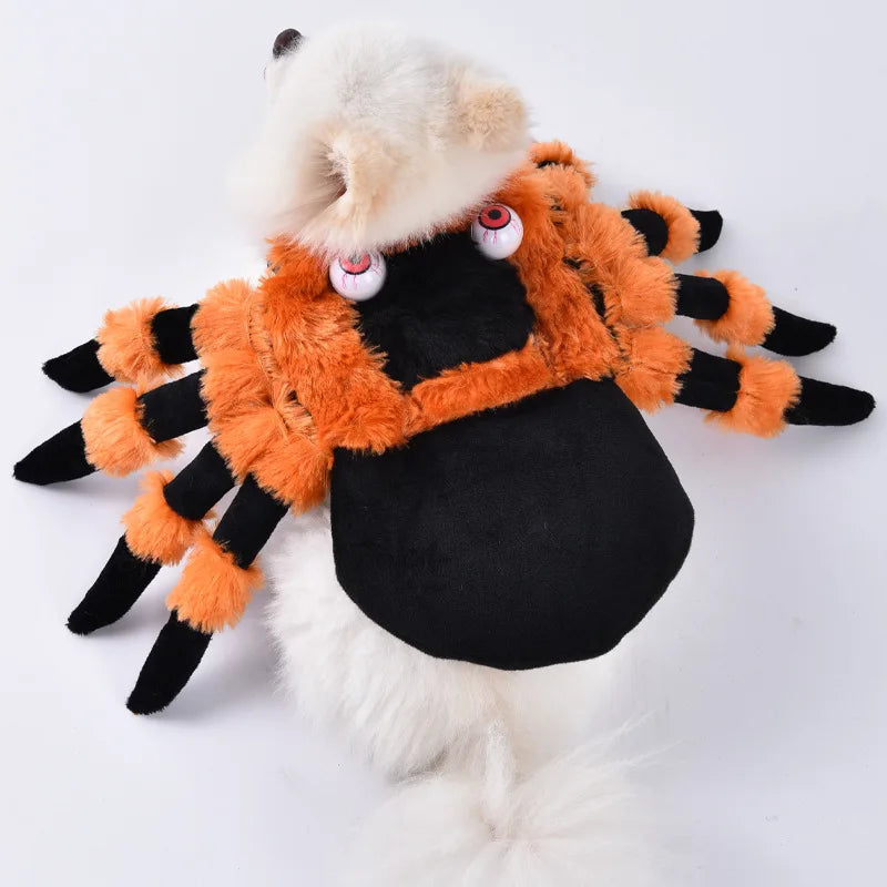 Halloween 3-Piece Dog & Cat Costume Set