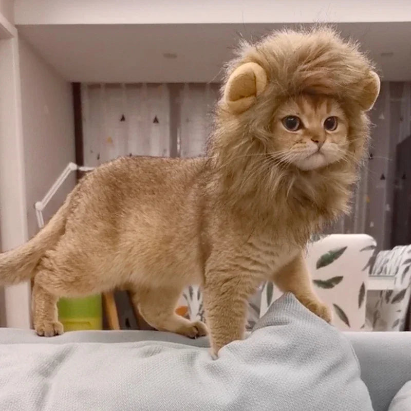 Lion Mane Wig for Dogs and Cats – Adjustable Halloween Costume Headpiece