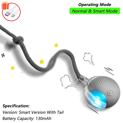 Cat Interactive Ball Toy Automatic Rolling Ball Faux Tail Rechargeable Smart Pet Electric Toy - PAW Bolt
