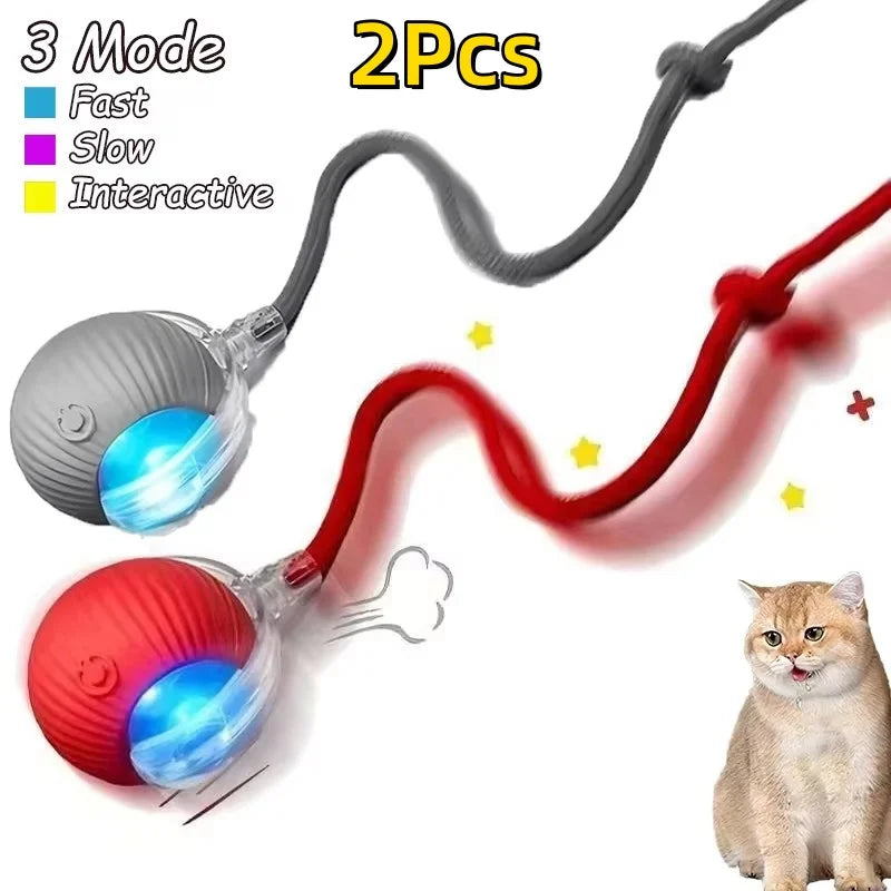Cat Interactive Ball Toy Automatic Rolling Ball Faux Tail Rechargeable Smart Pet Electric Toy - PAW Bolt