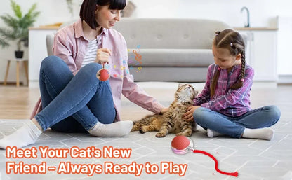 Cat Interactive Ball Toy Automatic Rolling Ball Faux Tail Rechargeable Smart Pet Electric Toy - PAW Bolt