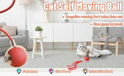 Cat Interactive Ball Toy Automatic Rolling Ball Faux Tail Rechargeable Smart Pet Electric Toy - PAW Bolt