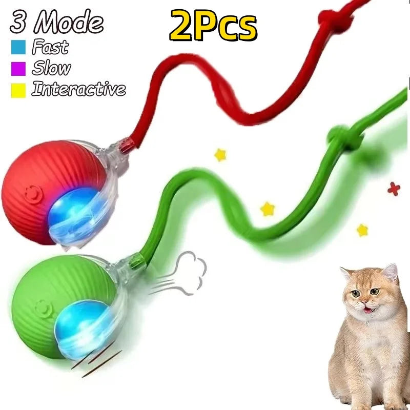 Cat Interactive Ball Toy Automatic Rolling Ball Faux Tail Rechargeable Smart Pet Electric Toy - PAW Bolt