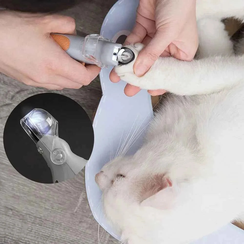 Clear Cut LED Magnifying Pet Nail Clipper - PAW Bolt