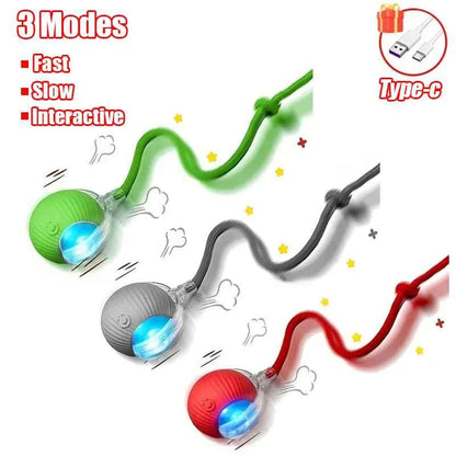 Interactive Automatic Cat Ball Toy – Rechargeable Rolling Mouse Toy for Cats & Dogs