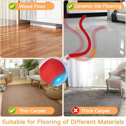 Cat Interactive Ball Toy Automatic Rolling Ball Faux Tail Rechargeable Smart Pet Electric Toy - PAW Bolt