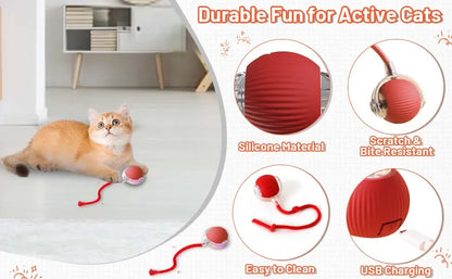 Cat Interactive Ball Toy Automatic Rolling Ball Faux Tail Rechargeable Smart Pet Electric Toy - PAW Bolt