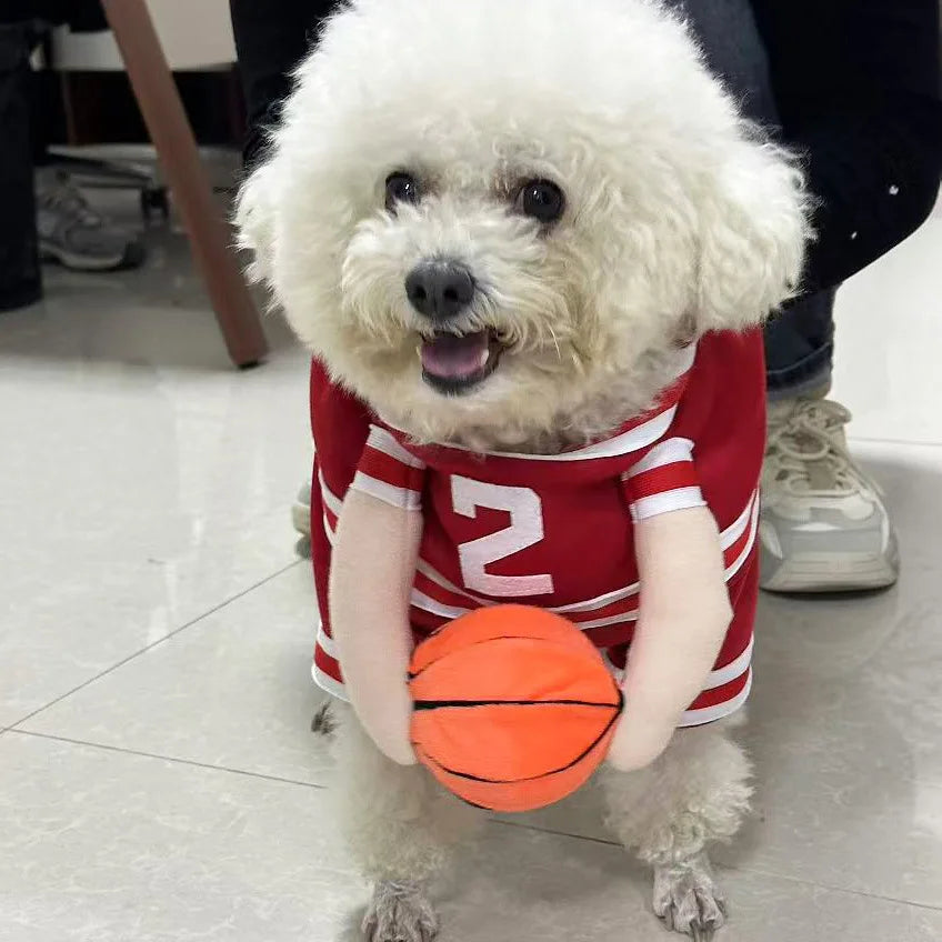 Pet Basketball Uniform – Cute Sport Costume for Small Dogs & Cats