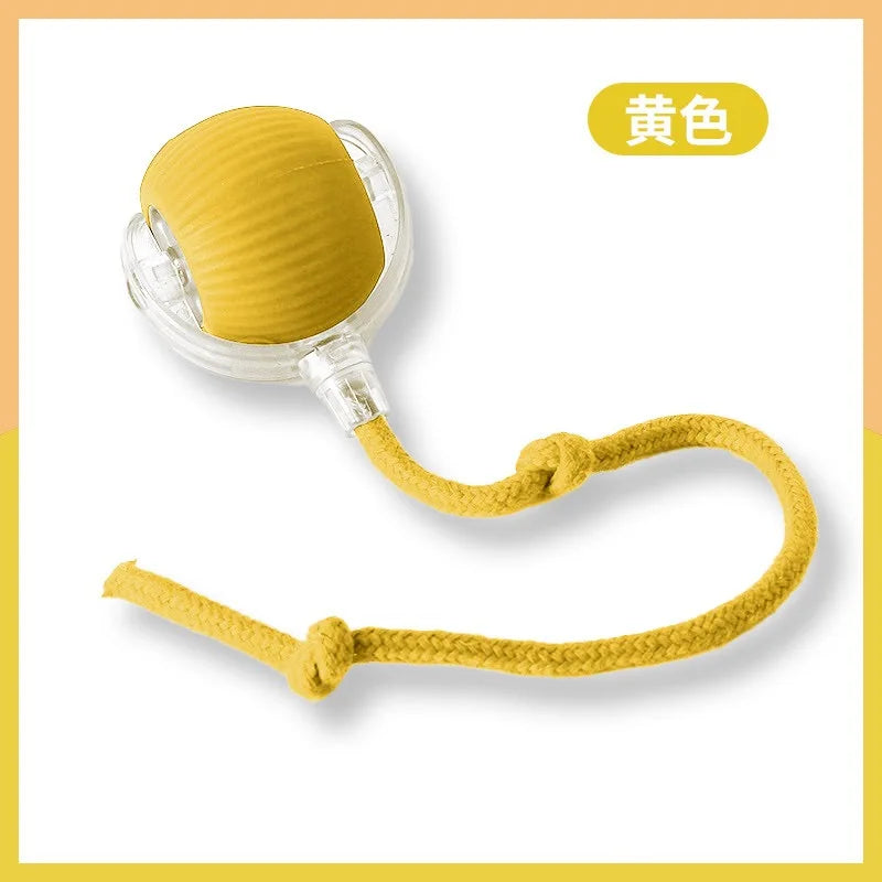 Cat Interactive Ball Toy Automatic Rolling Ball Faux Tail Rechargeable Smart Pet Electric Toy - PAW Bolt