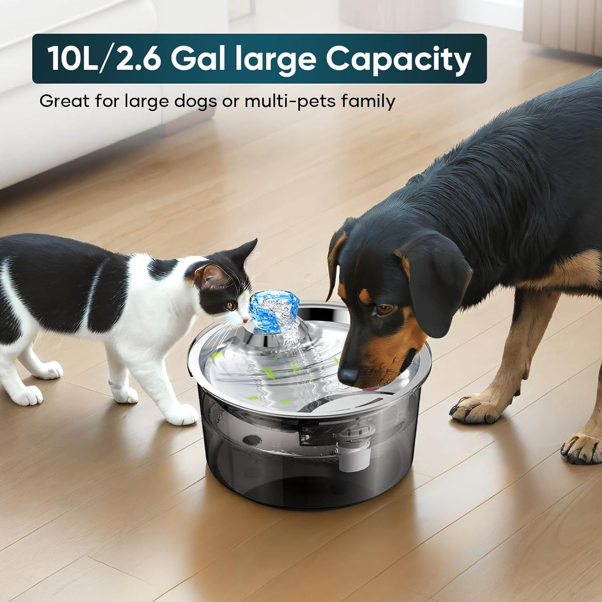 2.6Gal/10L Dog Water Fountain for Dogs & Cats & Multiple Pets D2340